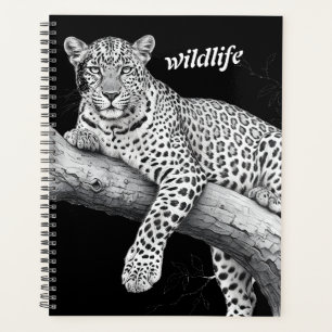 Mitternachtsleopard, Wildlife-Illustration Planer