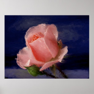 MitternachtsRose Poster