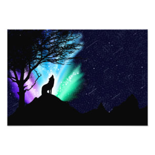 Mitternachtsschale Fotodruck