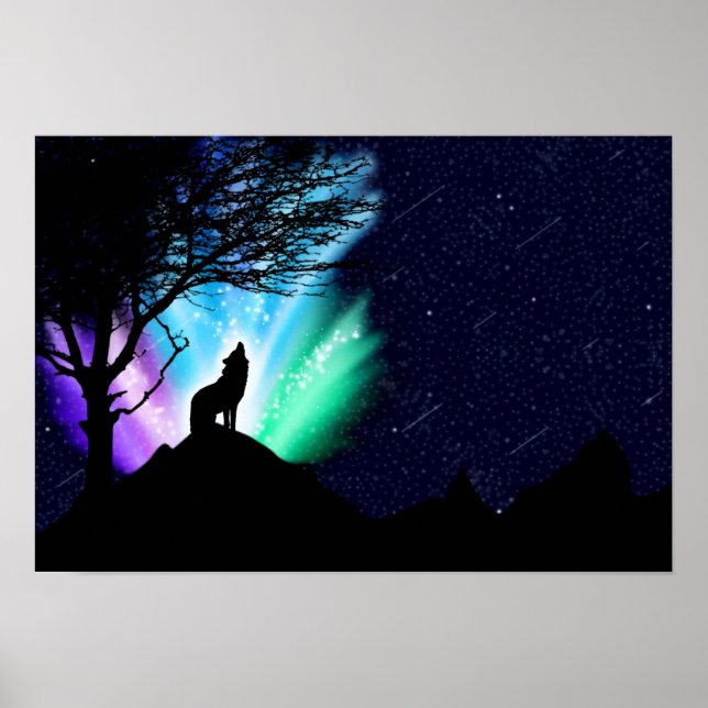 Mitternachtsschale Poster (Vorne)