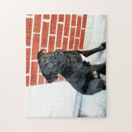 Mitternachtssitze für eine Pose Puzzle