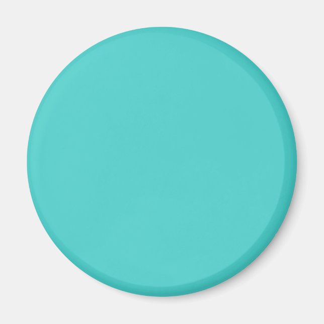 Mittlere türkisfarbene Farbe Magnet (Vorne)