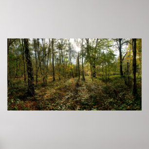 Mittlerer Herbst, Poster