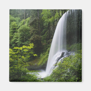 Mittlerer Nord-Wasserfall, Silver Falls State Park Magnet