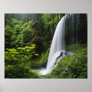 Mittlerer Nord-Wasserfall, Silver Falls State Park Poster