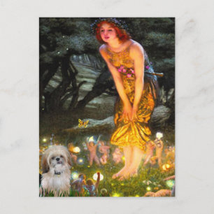 Mittsommerabend - Shih Tzu (P) Postkarte