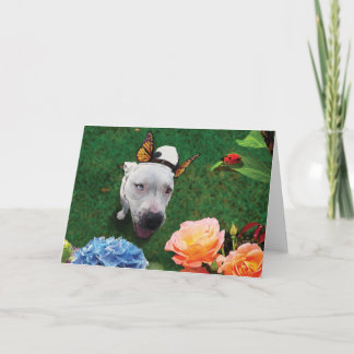 Mitzy die Mariposa, Hund mit Schmetterlingsflügeln Karte