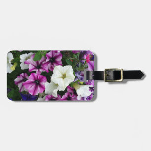 Mix aus Petunia-Blume Gepäckanhänger