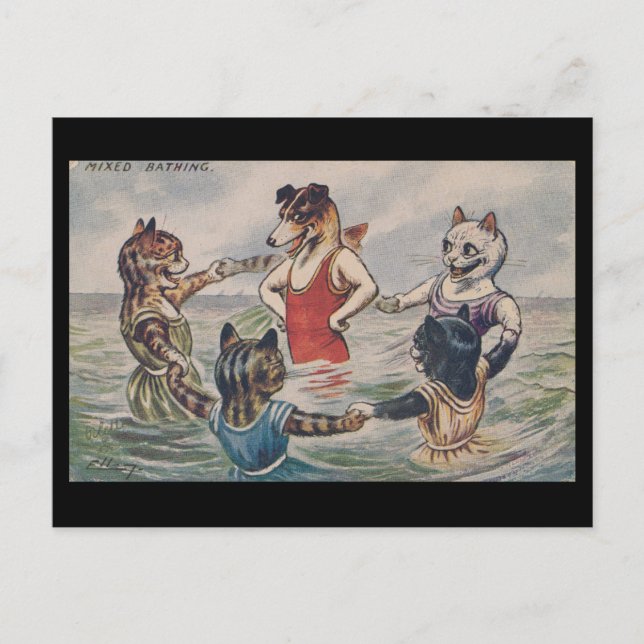 Mixed Bathing - Dog and Cats Postcard Postkarte (Vorderseite)