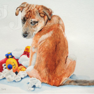 mixed breed dog with teddy cute puppy postkarte