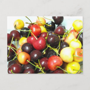 Mixed Cherries Postkarte