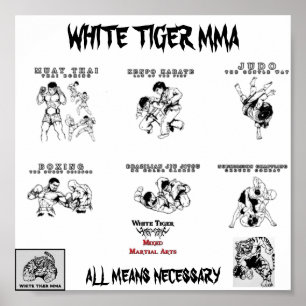 Mixed Martial Arts alle arts2, Logo1_copy-224x172, Poster