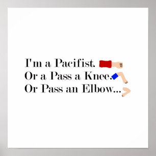 MIXED MARTIAL ARTS Pacifist Spaß Design Poster