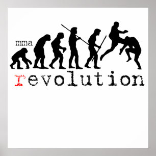 Mixed Martial Arts (r) Evolution Diagramm Plakat d