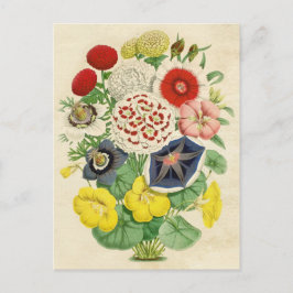 Mixed Vintag florale niedliche Postkarte
