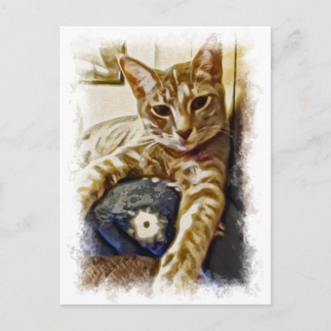 Miyu Cat Art Postkarte (Vorderseite)
