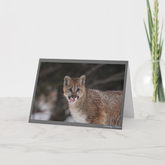 MMM! KARTE (Vorderseite)