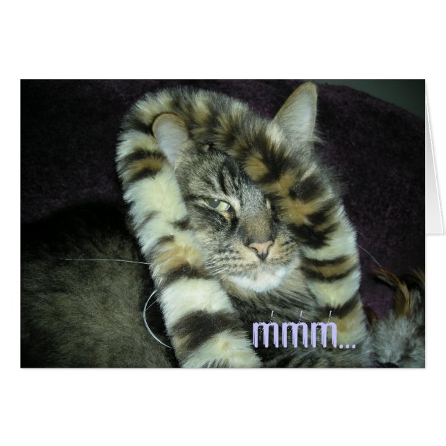 mmm… tut dies lassen mich fett schauen?! # (Vorderseite (Horizontal))