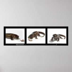 Mmmmmmmmmm..........................! Poster