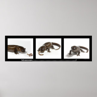 Mmmmmmmmmm..........................! Poster