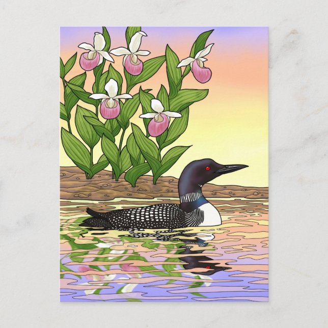 MN Staat Bird Blume Loon Lady Slipper Postkarte (Vorderseite)