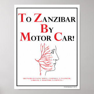 Mnemonic: Mit dem Auto nach Sansibar Poster
