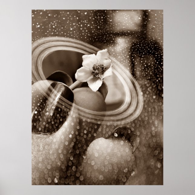 mni flor de pimentão poster (Vorne)