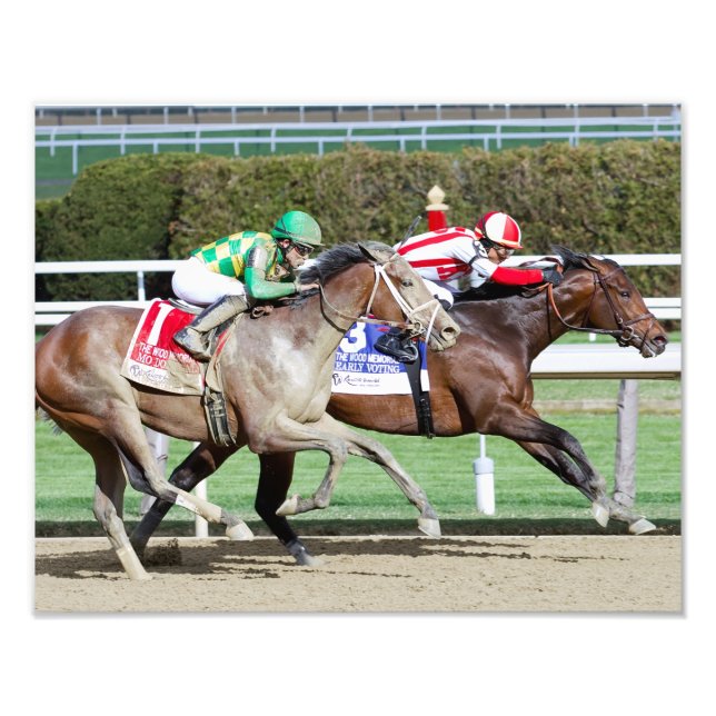 Mo Donegal Foto Print (Vorne)