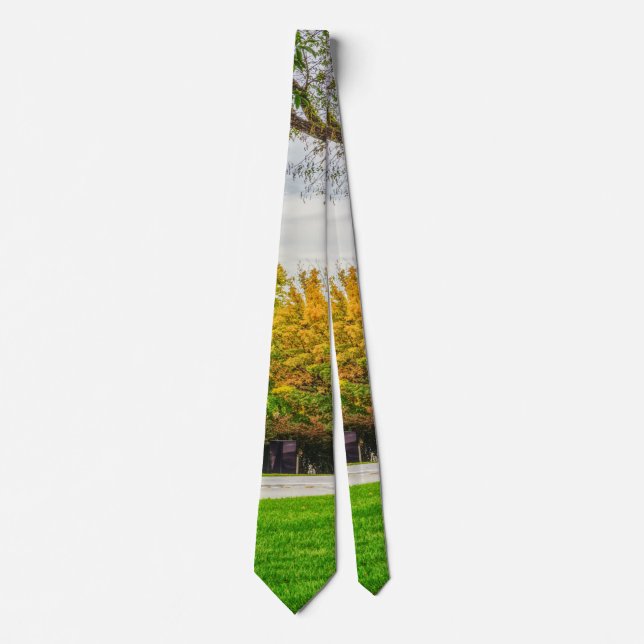 MO Hauptstadt Herbst Grounds Neck Tie Krawatte (Vorderseite)