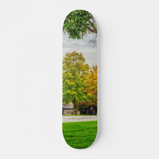 MO Hauptstadt Herbstgrössen Skateboard (Vorne)