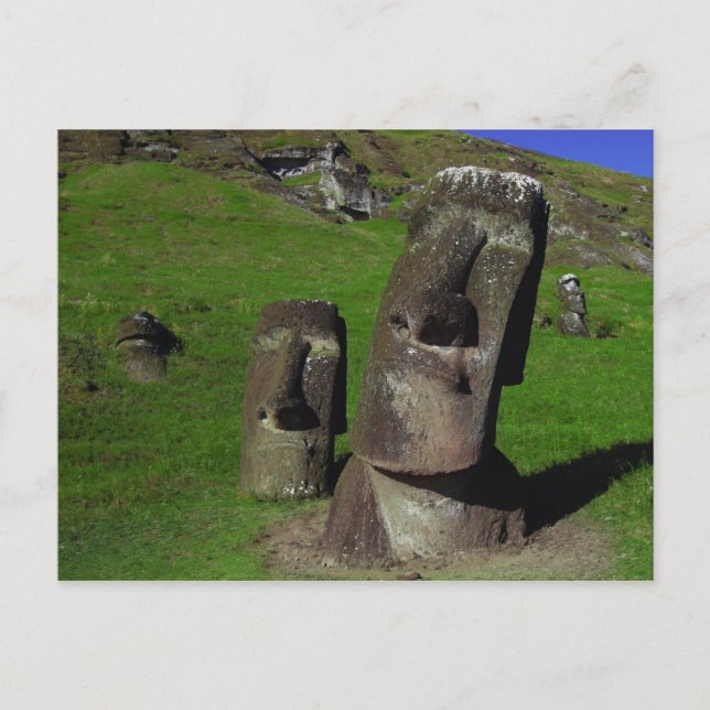 Moai auf der Osterinsel (Rapa Nui) Postkarte (Vorderseite)