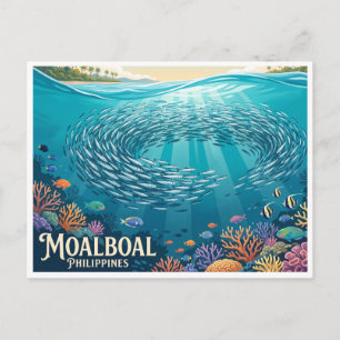 Moalboal Sardine Run Philippinen Postkarte