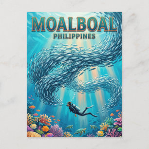 Moalboal Sardinen Schwarm Philippinen Postkarte