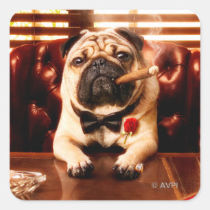 Mobster Hund Quadratischer Aufkleber