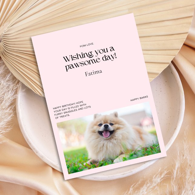 Möchten Sie eine Pawsome Day Spitz Card Karte (Wishing You a Pawsome Day Pomeranian Card)