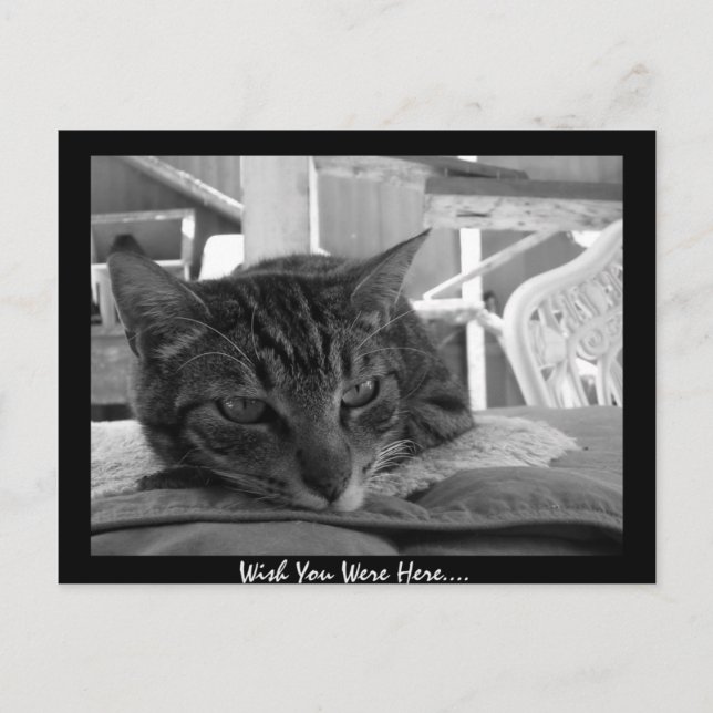 Möchten Sie hier sein? Postkarte (Vorderseite)