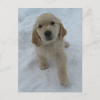 Möchten Sie hier sein? Postkarte