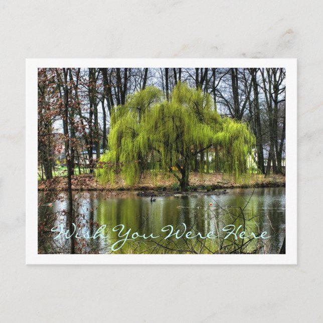 Möchten Sie hier sein? Postkarte (Vorderseite)