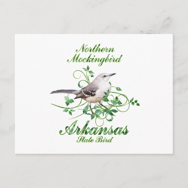 Mockingbird Arkansas Staat Bird Postkarte (Vorderseite)