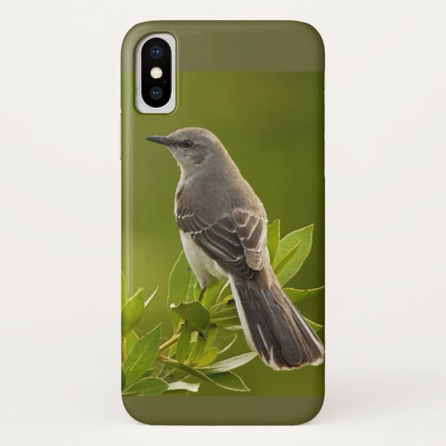 Mockingbird Bird Lovers Geschenke Case-Mate iPhone Hülle (Rückseite)