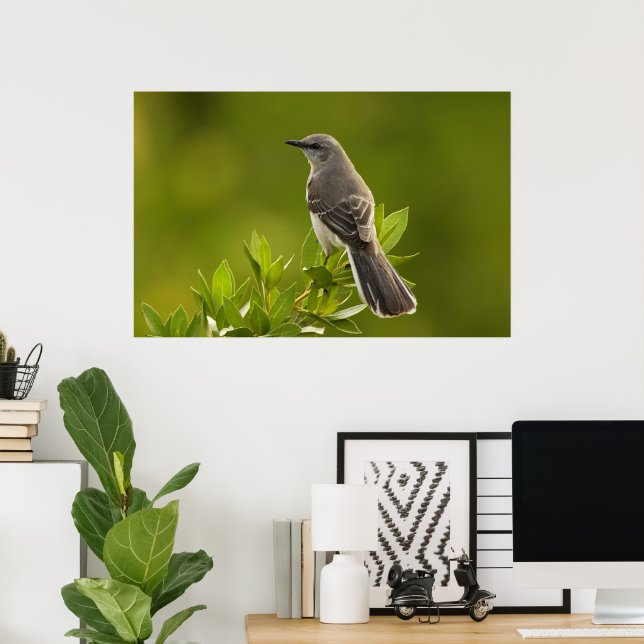 Mockingbird Bird Lovers Geschenke Poster (Heimbüro)