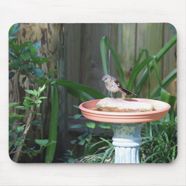 Mockingbird in Birdbath Mousepad (Vorne)