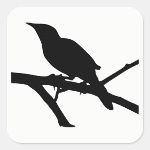 Mockingbird Silhouette Quadratischer Aufkleber