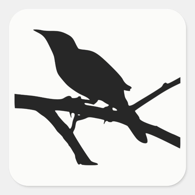 Mockingbird Silhouette Quadratischer Aufkleber (Vorderseite)