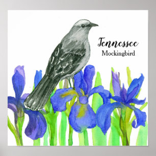 Mockingbird Staat Bird of Tennessee Poster