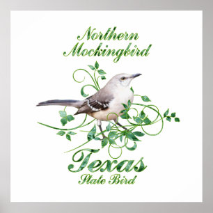 Mockingbird Texas Staat Bird Poster