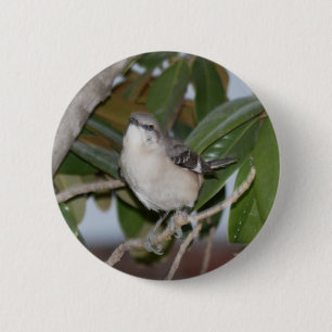 Mockingbutton - Nordspottdrossel auf Magnolie Button