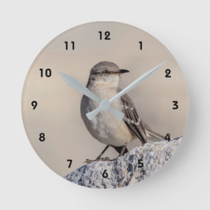 Mockingvogel auf einem Felsen Runde Wanduhr
