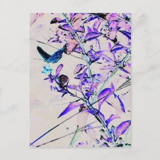 Mod Butterfly - Postkarte