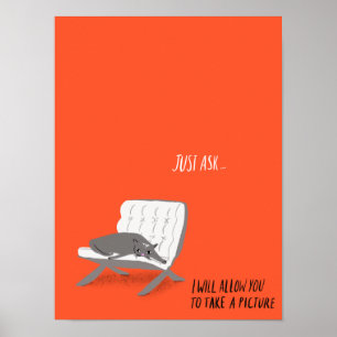 Mod Cats - Nur Gefragt Poster